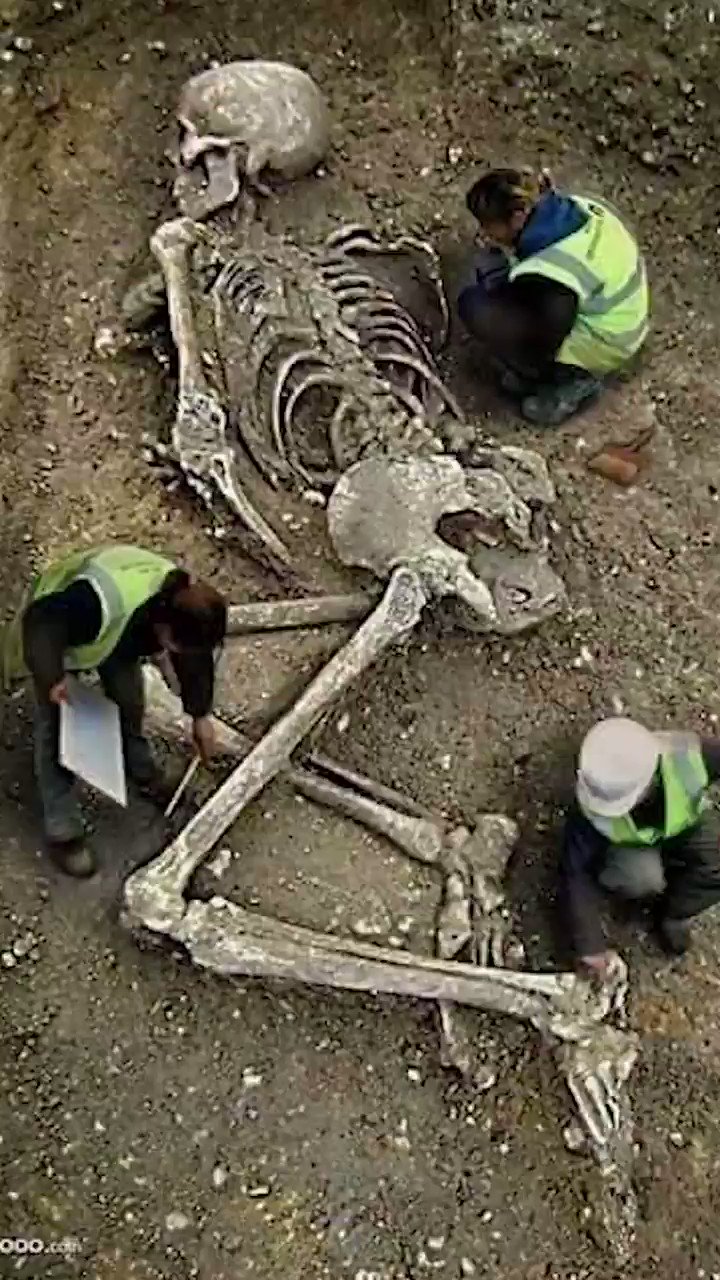 Largest Human Skeleton