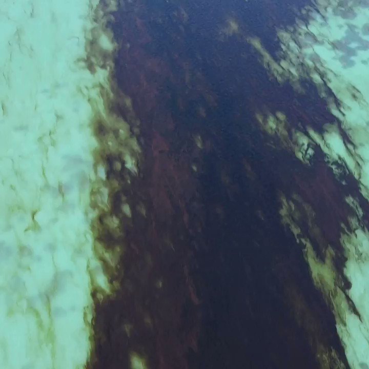 Mauritius is facing an environmental catastrophe after a ship has leaked about 1,000 metric tons of oil into a pristine Indian Ocean lagoon https://t.co/RcSoIQJMj6 https://t.co/Srl9a9g10y