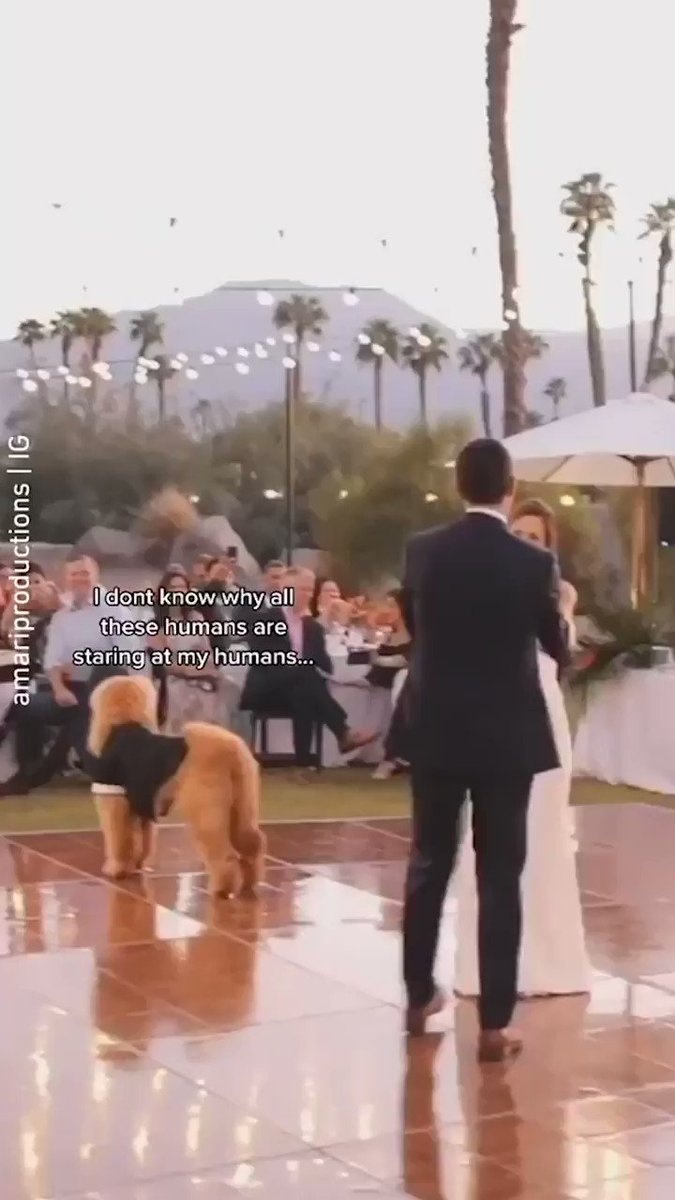 Excuse me, bestboi coming thru
📹 amariproductions | IG https://t.co/KdiTY8itcr