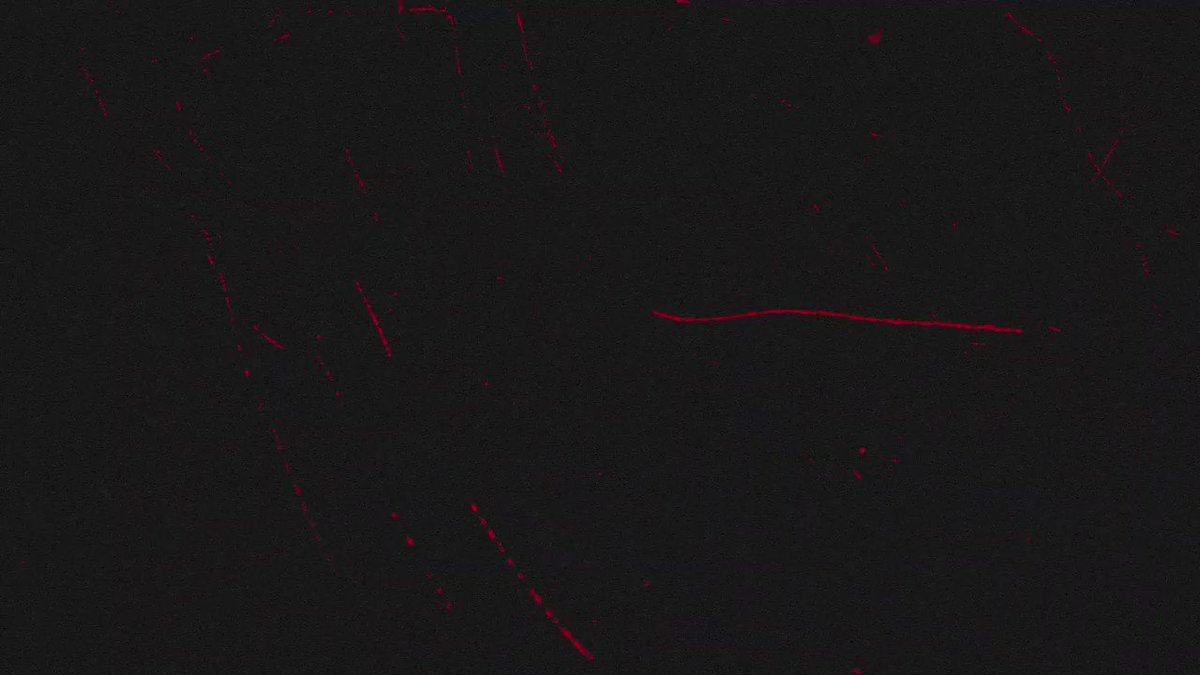 Five #Bearcats have earned a spot on the team's Play Hard Board ahead of the season opener.
👏👏👏
• @_d1elijah
• @Myjai_Slatt
• @WyattFischer_
• @RRoyer0
• @JoshWhyle81 https://t.co/N4yx8ULphX