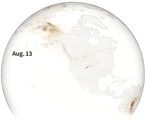 Smoke from the U.S. wildfires has traveled thousands of miles east, turning skies from New York to Washington D.C. hazy and reaching as far as the skies above the UK. @ReutersGraphics visualizes organic carbon released into the atmosphere during the fires https://t.co/QxcE4zEpDp https://t.co/vghFJoLmUU