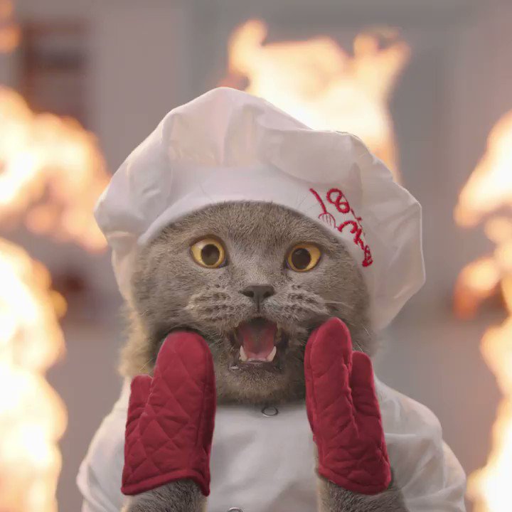 Prince Michael is so sweet and pawsome💕 Hire lovely chefs and welcome your first guest on @AML_Restaurant now👉🏻 https://t.co/sKdBjPM1OE
Join the game’s 1st anniversary giveaway on their Facebook/Instagram page now! https://t.co/QL3Ho8ojJi