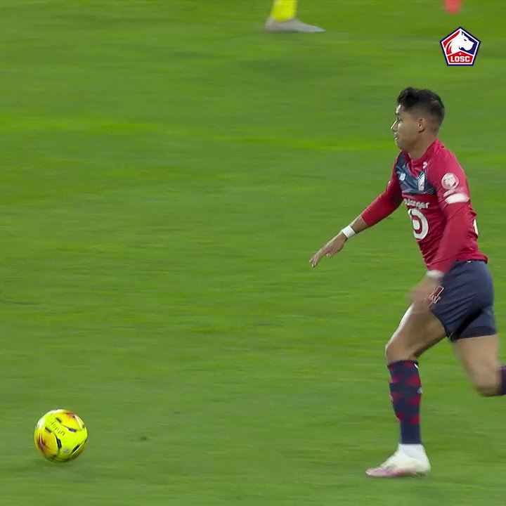 LOSC @losclive