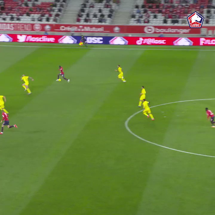 LOSC @losclive