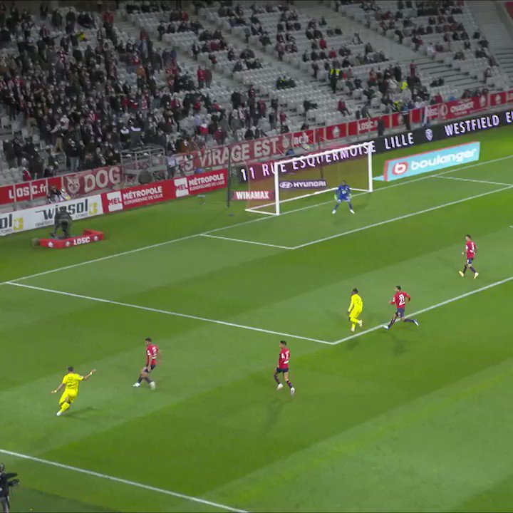 LOSC @losclive