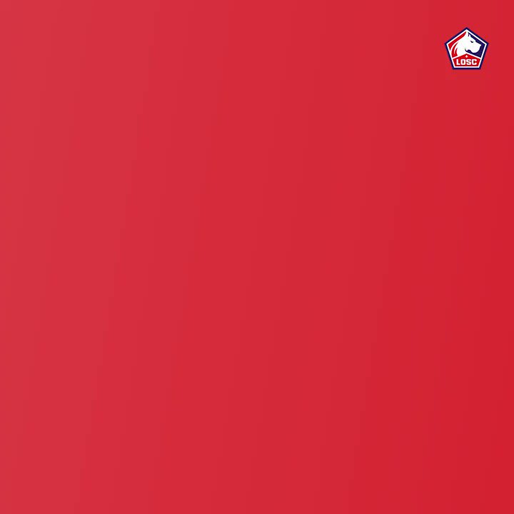 LOSC @losclive