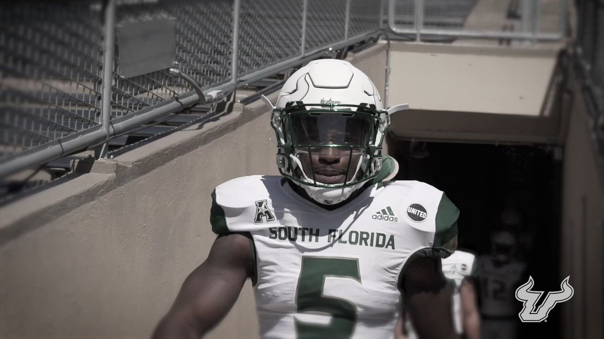 usf bulls football 247
