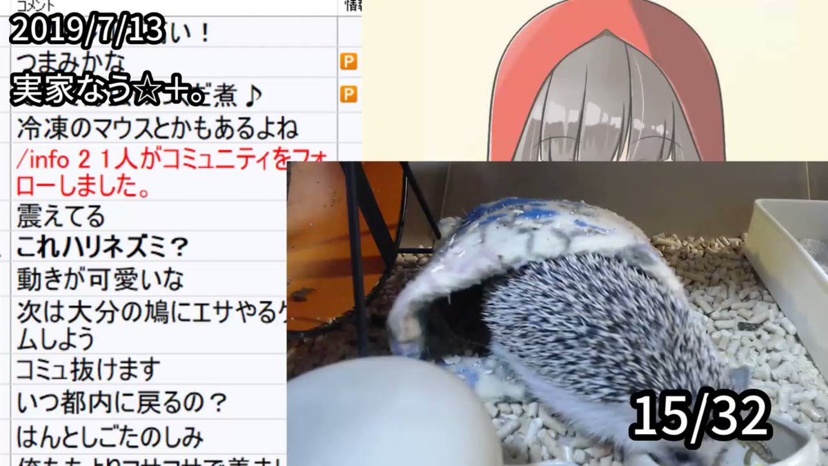 日南ちゃん切り抜き Twitter