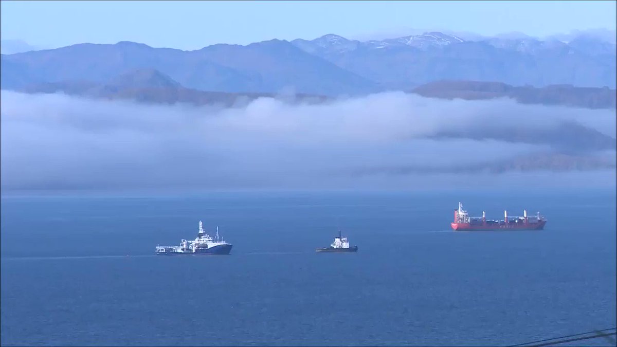 морские контейнерные перевозки. теплоход завойко камчатка. теплоход василий завойко. тральщик владимир гуманенко. лоцманская проводка судов.