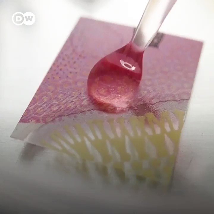 DW News (@dwnews) on Twitter photo 2020-10-25 02:56:00 The SARS-CoV-2 virus can survive up to 28 days on glass and money, phone screens and stainless steel, according to Australian researchers. The SARS-CoV-2 virus can survive up to 28 days on glass and money, phone screens and stainless steel, according to Australian researchers.
