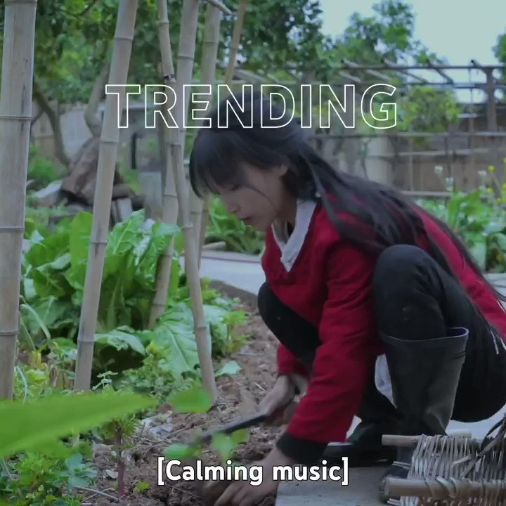 Youtube Official Blog