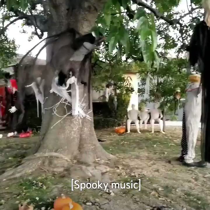 1. Click @hollywoodhauntrโs home haunts tour
2. Right click video
3. Loop
4. Full screen
5. ๐งโโ๏ธ
โถ๏ธ https://t.co/qwHh3pDv3q https://t.co/CUUiTP0Xj8