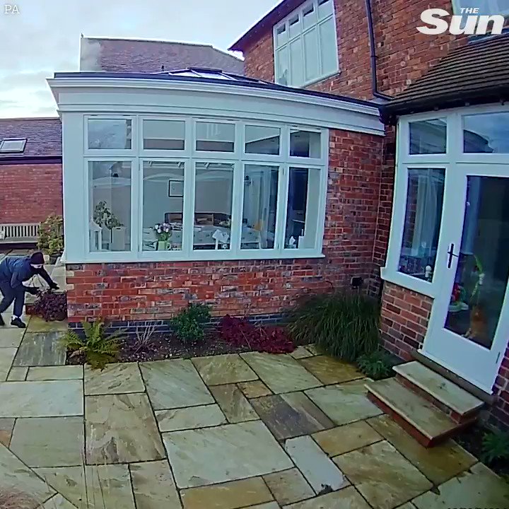 Would be cat burglar comes face to face with an actual cat