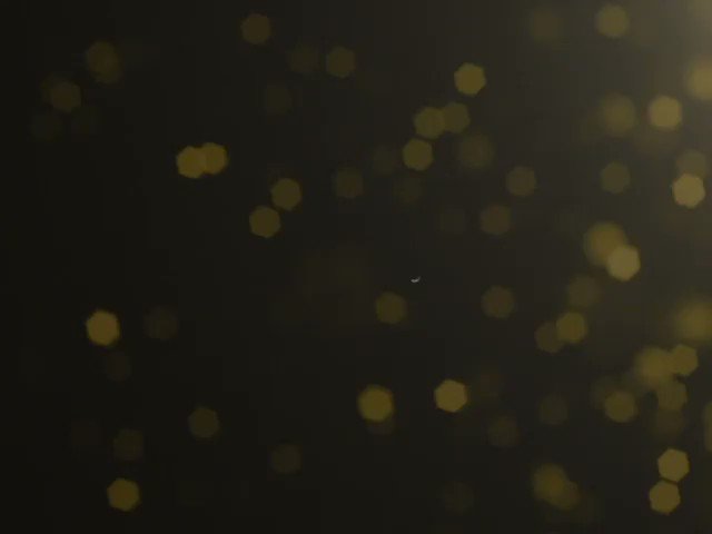 Happy Birthday Miss USA 2005 Chelsea Cooley Altman!  