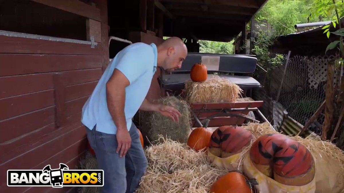 Pumpkin booty patch with rose monroe and valentina jewels