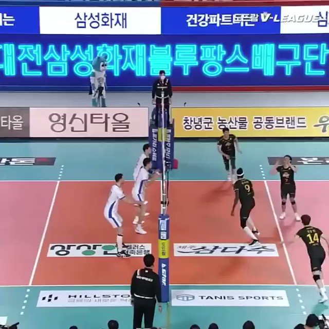 NEW #VOLLEYBALL MOVE ALERT by Noumory Keita from Mali!
๐ฅ https://t.co/Bs8ucgDVZX https://t.co/CqG06CtZdt