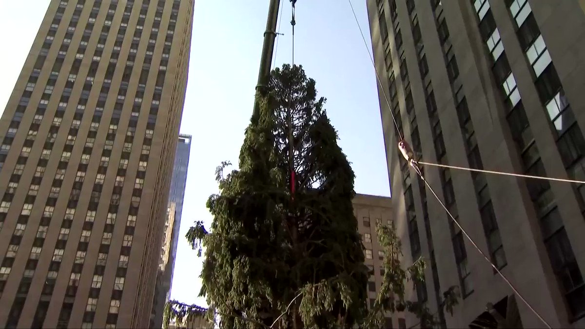 ICYMI: New York City received some much-needed holiday cheer with the arrival and installation of a giant Christmas 🎄 at Rockefeller Center https://t.co/KYg09bgZCW https://t.co/1KpqHAx6tu
