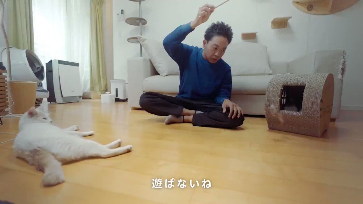 Amazon Jp アマゾンジャパン Amazon 笑顔をお届け 空前絶後の保護猫ライフ を出版しているほど愛 猫家のサンシャイン池崎 Ikezaki Yeah さんが今回amazonで愛猫におもちゃをプレゼント 購入から手元に 届くまでをたどる旅で見つけたのは 笑顔 Amazon Jp アマゾンジャパン Amazon 笑顔をお届け 空前絶後の保護猫ライフ を出版しているほど愛 猫家のサンシャイン池崎 Ikezaki Yeah さんが今回amazonで愛猫におもちゃをプレゼント 購入から手元に 届くまでをたどる旅で見つけたのは 笑顔
