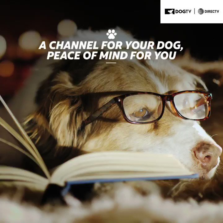 Dog channel directv 2025