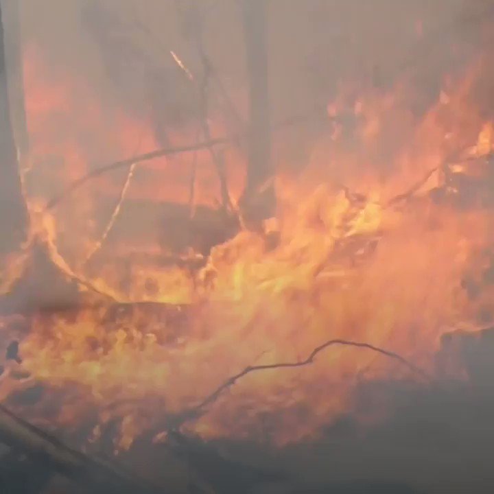 2020 tied with 2016 as the world's hottest year on record, rounding off a decade that saw the impacts of climate change intensify. https://t.co/1TVh6uMu3j