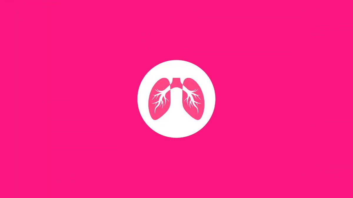 It's all good if some things seem too much. Sometimes, you just need to take a deep breath and reset 💆♂️ → https://t.co/g7oGKyQJT5
⚠️ WARNING: Features relaxing ocean sounds 🌊 and calming vibes... https://t.co/o0pFVvG9fH