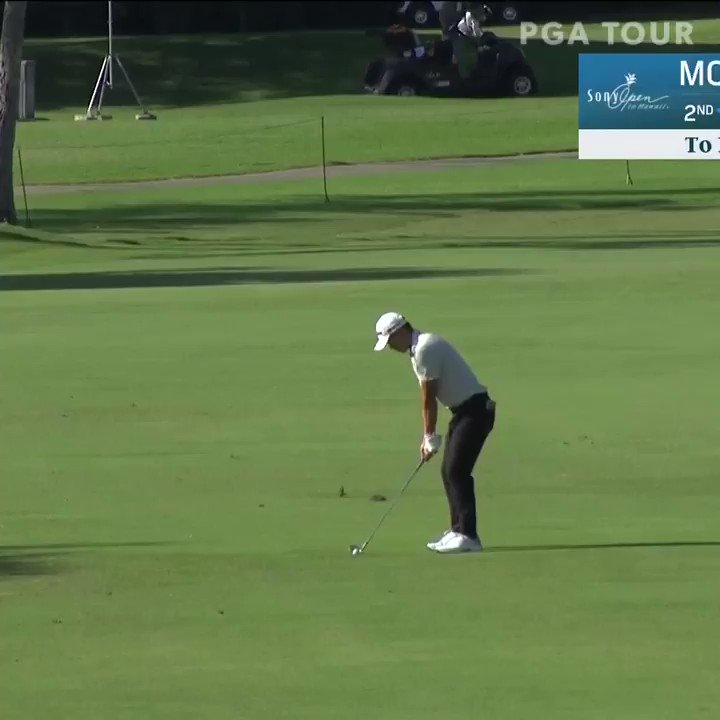 PGATOUR: 66-65 (-9) thru two rounds for @Collin_Morikawa.

Shots like this are why he's 1 stroke off the lead @SonyOpenHawaii. https://t.co/oi4rew3Ayc #PGATour