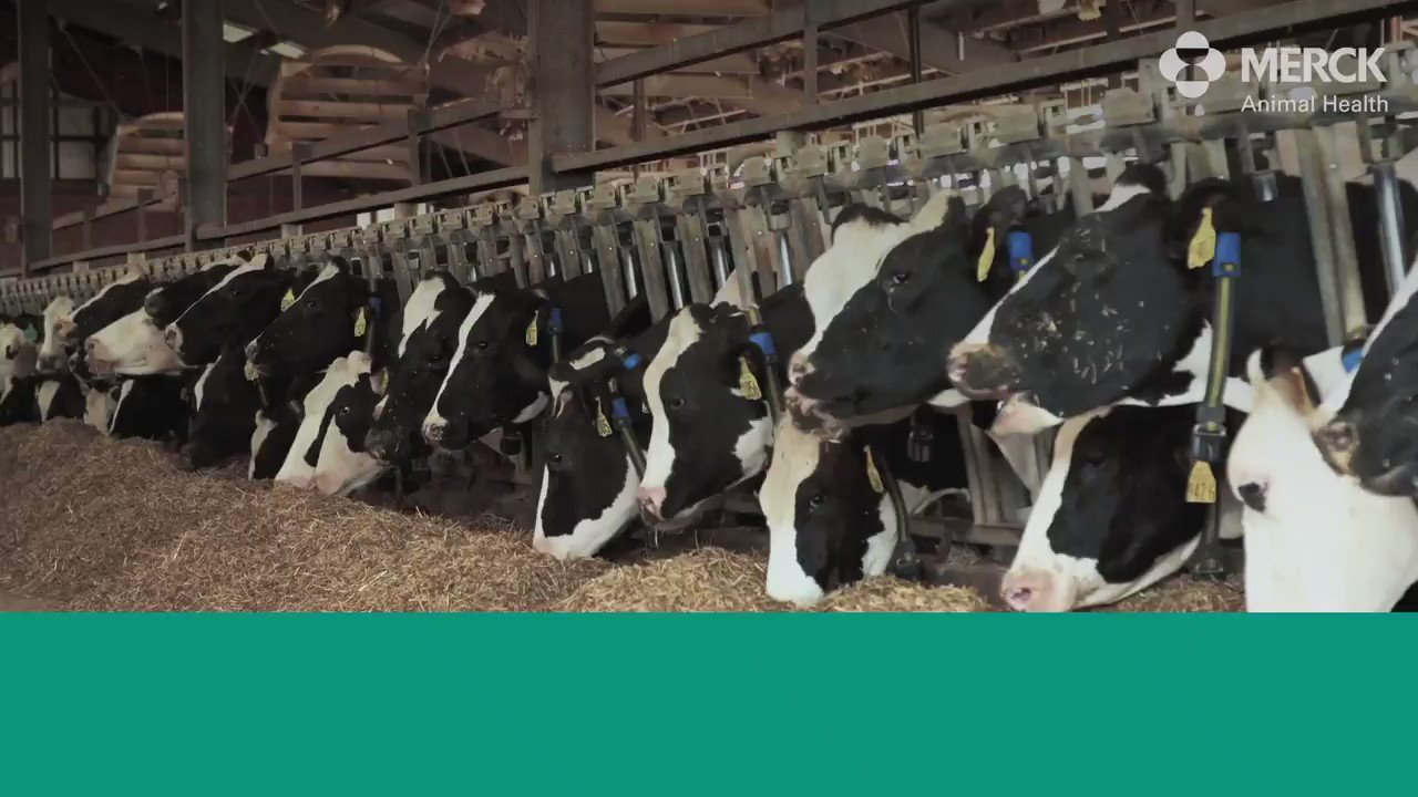 Merck Animal Health on Twitter: Merck Animal Health on Twitter: