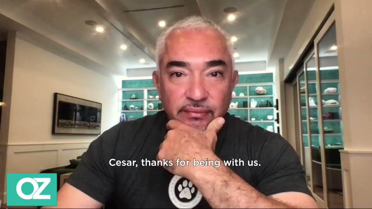 Here are the 3 things that might provoke a dog to attack, according to The Dog Whisperer, @cesarmillan. https://t.co/oh0VnbrtF0