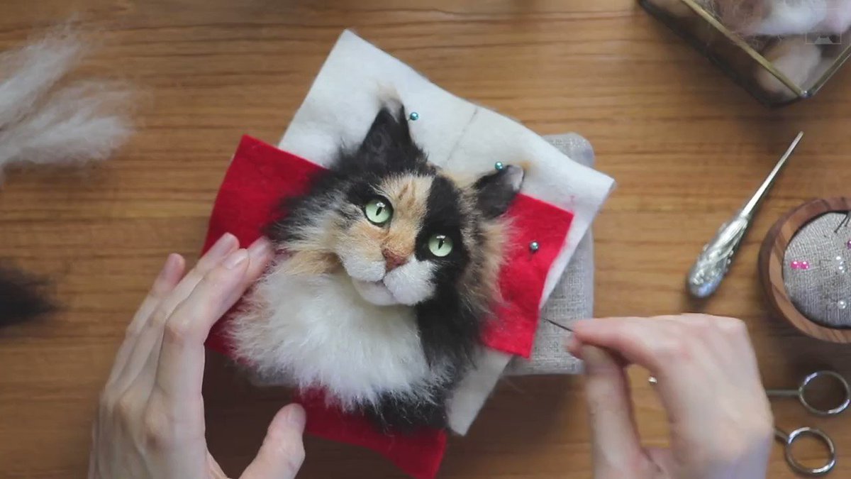 YouTube (@YouTube) on Twitter photo 28/01/2021 06:08:53 'Felt' cute, might delete later → yt.be/YBXuN 'Felt' cute, might delete later → yt.be/YBXuN