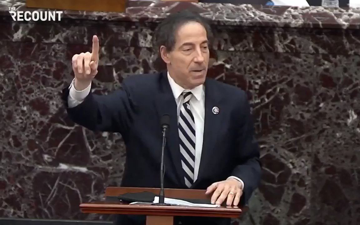 @therecount's photo on Jamie Raskin