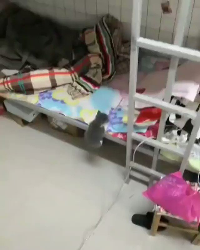 一生懸命なそのお尻をそっと押してあげたい…。小さな頑張りを応援したくなる動画！