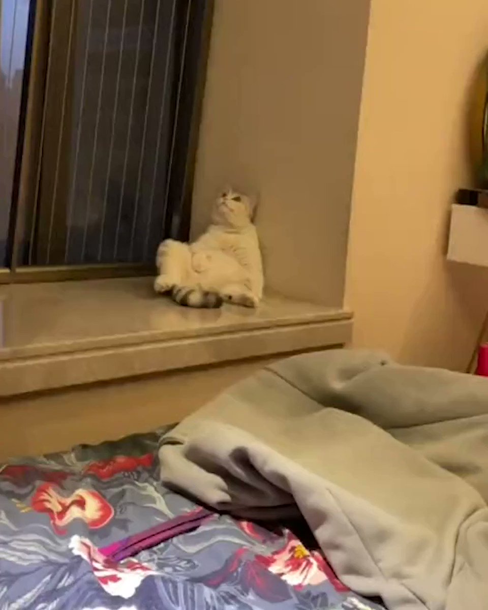 When you realize you're in the meowtrix
@MeowedOfficial https://t.co/rAkhUxmCTE