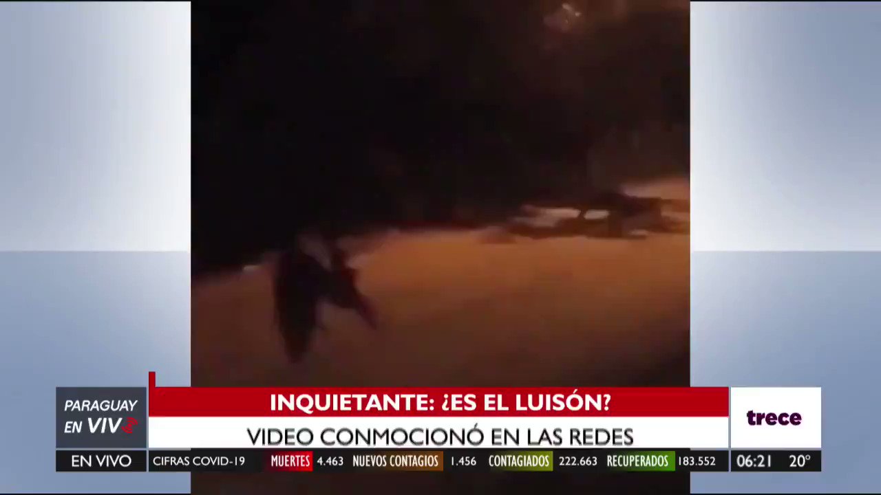 Trece on X: ➡ Inquietante vídeo: ¿Es el Luisón? Vídeo conmocionó en las  redes sociales. #PyEnVivo