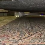 「ミッションインポッシブル」すぎる猫‪wだんだん迫ってくる感が面白すぎる‪w‪w‪w