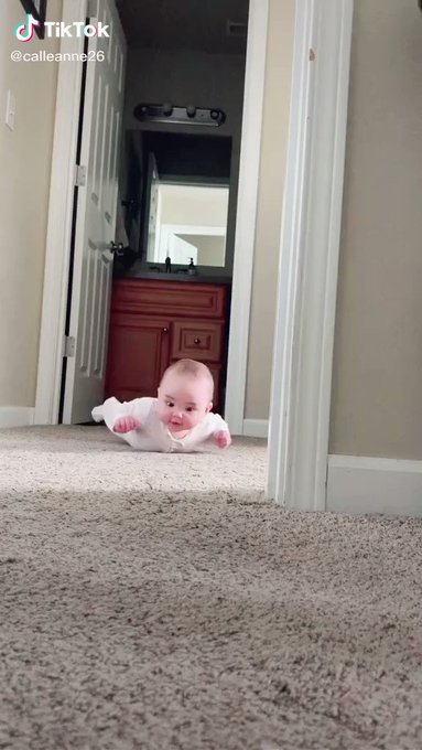 猫が大好きな赤ちゃん