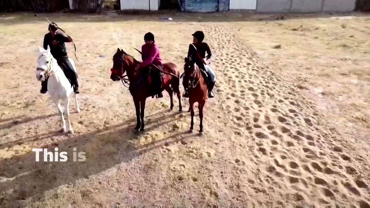 Mohammad Abu Musaed is training the first team of horseback archers in the Gaza Strip, in effort to revive a skill which once helped Mongol emperor Genghis Khan conquer much of Asia https://t.co/YbIMMHWjtX https://t.co/dURfNMRzLD