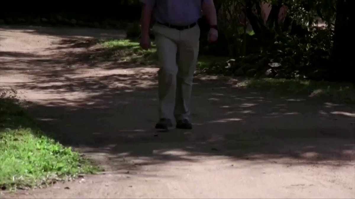 WATCH: South Africa announced plans to clamp down on captive lion breeding after a review panel concluded the industry risked conservation efforts. But some in the business say it is a further blow to the tourism sector https://t.co/tLD252hxoZ https://t.co/gJwHvoOsiA