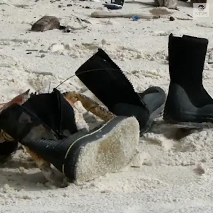 NAME CHECKS OUT: Robber crab snatches a black boot lying idle on a Christmas Island beach and scuttles off with it in its claws. https://t.co/B1hHX73unq https://t.co/NIu3Y2G9qK