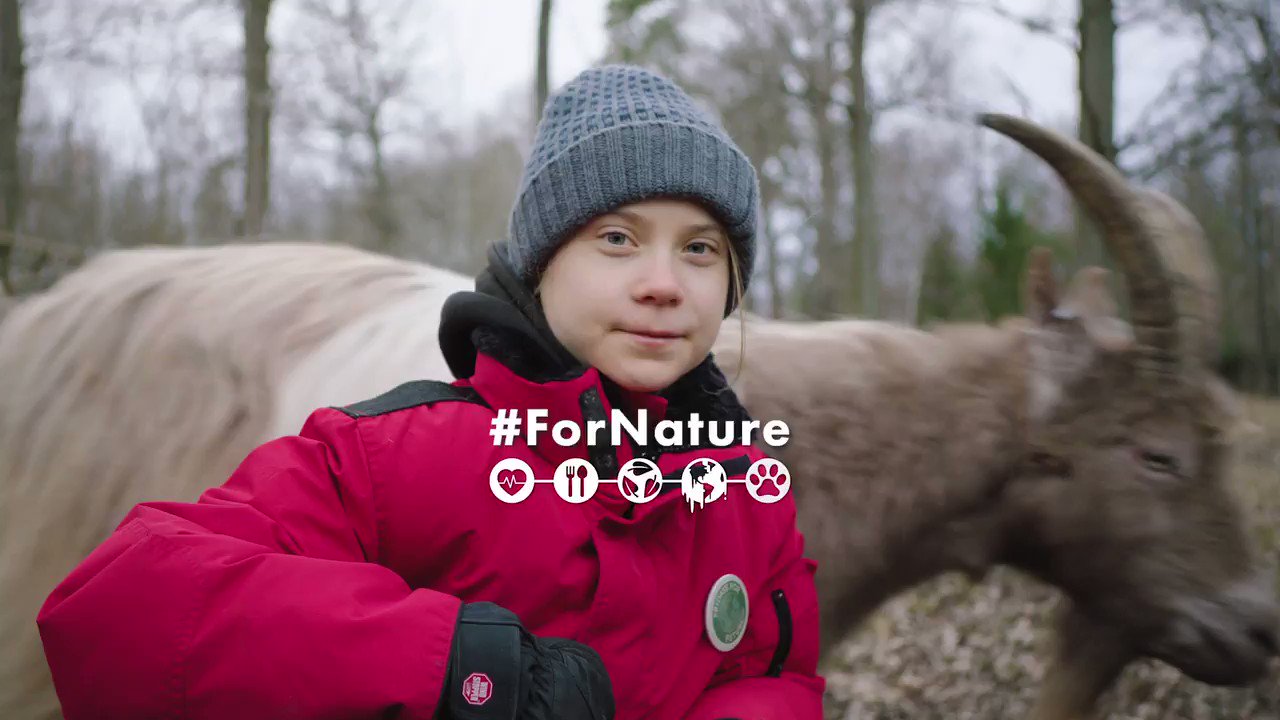 Greta Thunberg on Twitter "”Our relationship with nature is broken