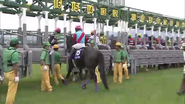 宝塚記念】 🏵2012年 🐴オルフェーヴル 池添謙一 「三冠馬が復活する