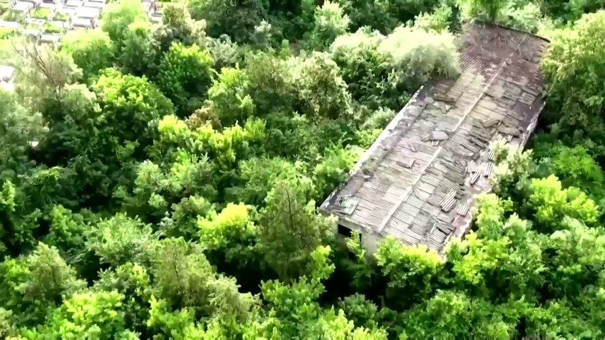 Conservationists in #Bucharest race to protect the rich wildlife found on the outskirts of #Romania's bustling capital within sights of its communist-era apartment blocks and suburban villas
Vía @Reuters https://t.co/EIyZMPJBfM https://t.co/OxUsZ9BK5Y