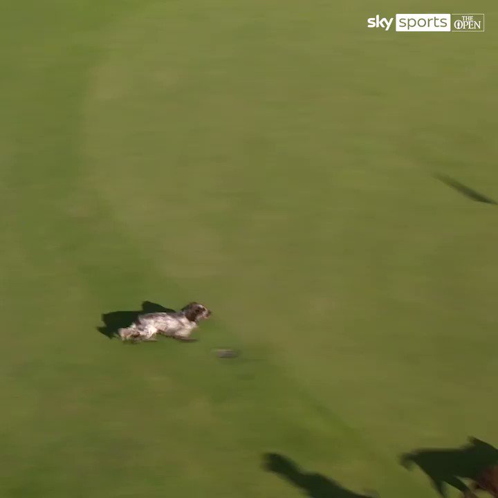 @SkySportsNews's photo on The Open