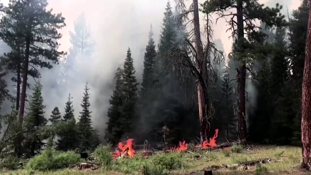 Oregon's Bootleg fire, first reported on July 6 and the largest of dozens of wildfires in the United States, was ignited by lightning but smoldered for days before it was detected, officials said https://t.co/vv8KK9icvj https://t.co/eQ5C7drSDB