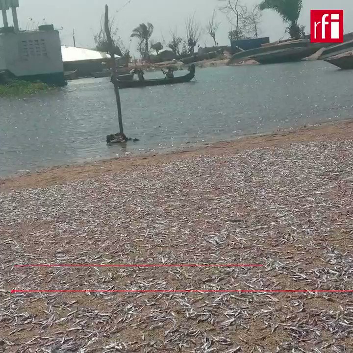 RFI on Twitter "🇨🇩 RDC Dans la province du Tanganyika, dans l’est du