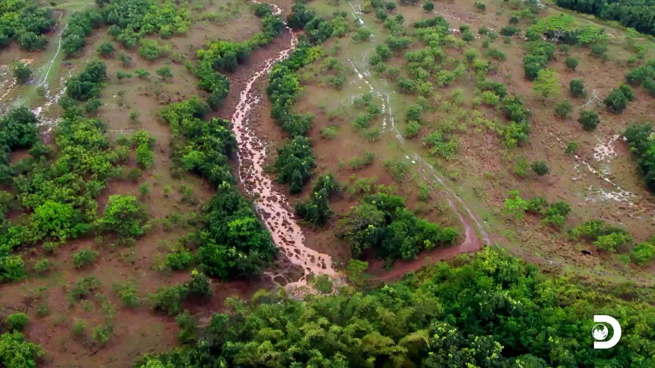 homestead-rescue-on-twitter-this-might-not-be-the-homestead-we-rescue-severe-flooding-makes-it-nearly-impossible-for-the-raneys-to-help-this-family-in-kauai-don-t-miss-a-new-homesteadrescue