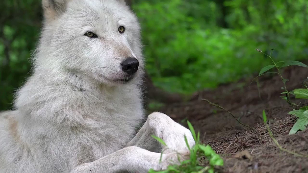 ф (Xagrada) / Twitter