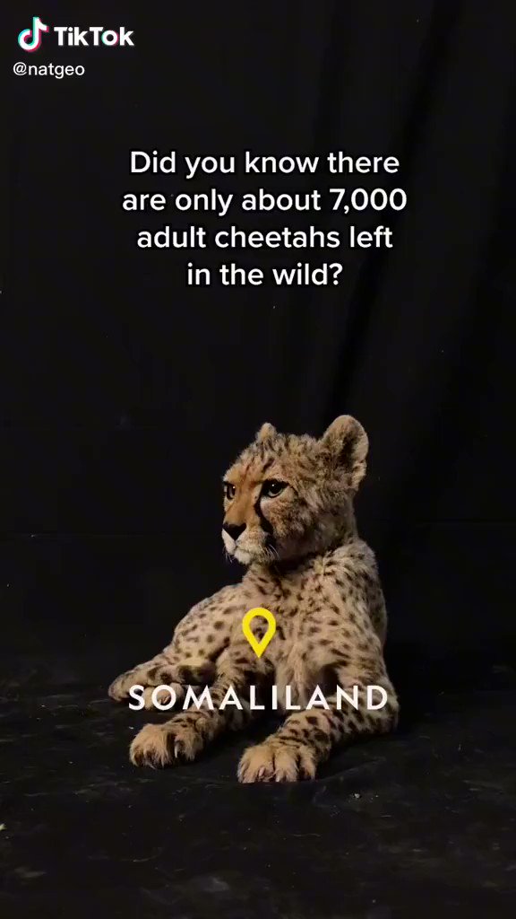 Image of this social media content