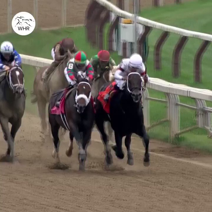 Thistledown Racing Schedule 2022 World Horse Racing On Twitter: "📂 World Horse Racing └📁 2021 └📁 Craziest  Moments └🖱️ Firenze Fire Vs Yaupon.mp4 We Witnessed Some Unforgettable  Moments Last Year, But Was This One Of The