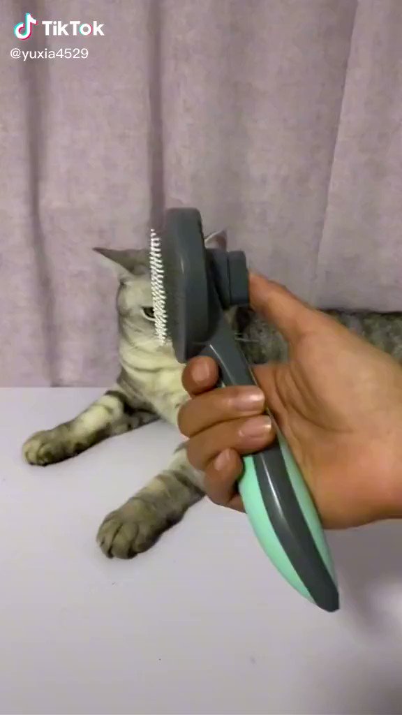 これは便利！犬・猫の換毛期にオススメのブラシがこれ！