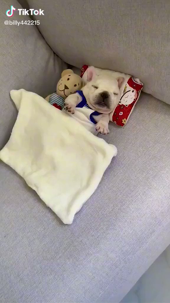世界のハメ撮り | Twitter Video Tools